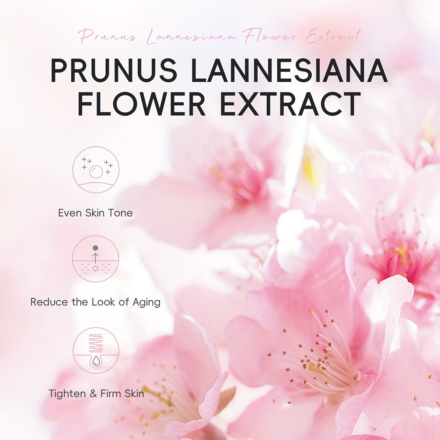 🌸 Sakura Hydrating Mask Set

Intensive Feuchtigkeit & frischer Glow – als Pflegeroutine