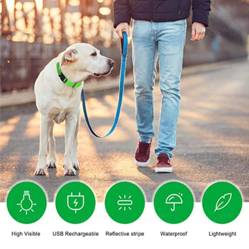 LED-Halsband für Hunde & Katzen – Maximale Sichtbarkeit bei Nacht! USB-aufladbar (bis 10h), 3 Leuchtmodi, verstellbar und wetterfest. Aus robustem Nylon, ideal für Spaziergänge und zur Sicherheit deines Haustiers. Jetzt bestellen!