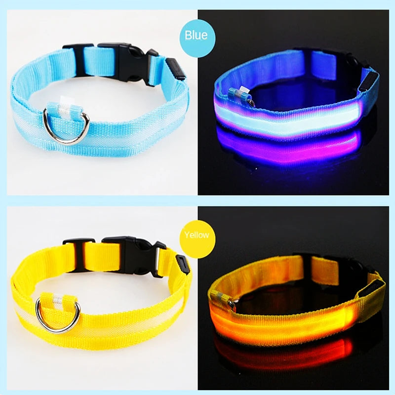 LED-Halsband für Hunde & Katzen – Maximale Sichtbarkeit bei Nacht! USB-aufladbar (bis 10h), 3 Leuchtmodi, verstellbar und wetterfest. Aus robustem Nylon, ideal für Spaziergänge und zur Sicherheit deines Haustiers. Jetzt bestellen!