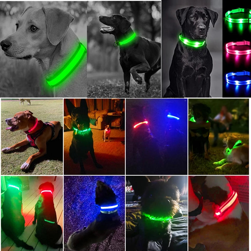 LED-Halsband für Hunde & Katzen – Maximale Sichtbarkeit bei Nacht! USB-aufladbar (bis 10h), 3 Leuchtmodi, verstellbar und wetterfest. Aus robustem Nylon, ideal für Spaziergänge und zur Sicherheit deines Haustiers. Jetzt bestellen!