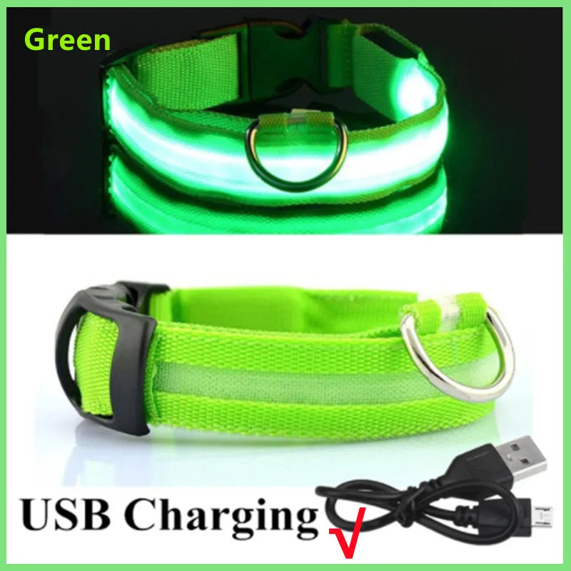 LED-Halsband für Hunde & Katzen – Maximale Sichtbarkeit bei Nacht! USB-aufladbar (bis 10h), 3 Leuchtmodi, verstellbar und wetterfest. Aus robustem Nylon, ideal für Spaziergänge und zur Sicherheit deines Haustiers. Jetzt bestellen!