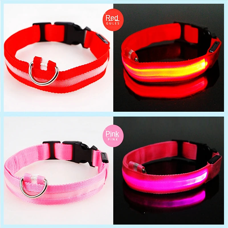 LED-Halsband für Hunde & Katzen – Maximale Sichtbarkeit bei Nacht! USB-aufladbar (bis 10h), 3 Leuchtmodi, verstellbar und wetterfest. Aus robustem Nylon, ideal für Spaziergänge und zur Sicherheit deines Haustiers. Jetzt bestellen!