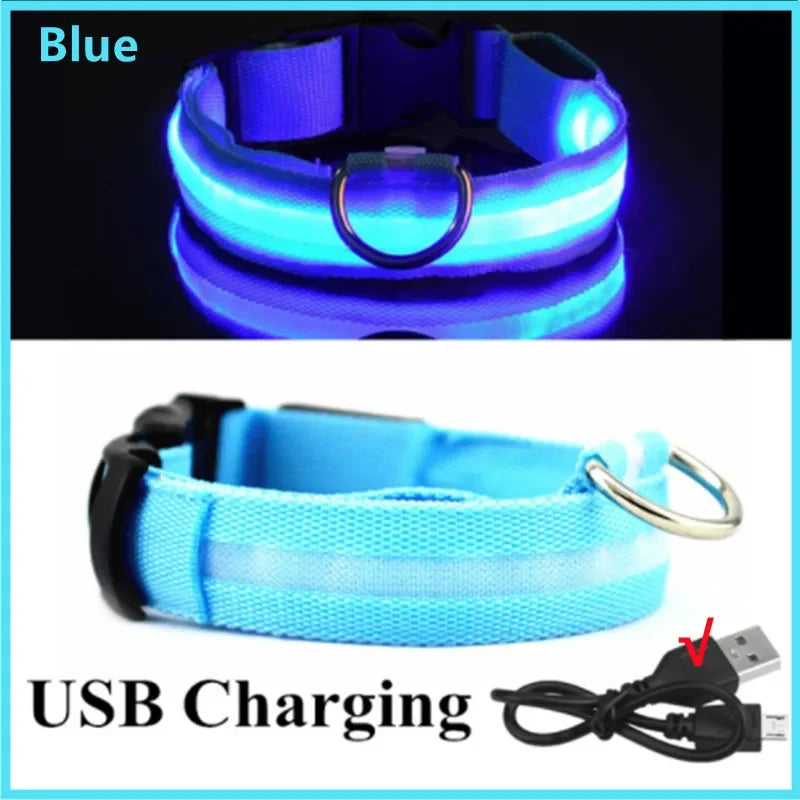 LED-Halsband für Hunde & Katzen – Maximale Sichtbarkeit bei Nacht! USB-aufladbar (bis 10h), 3 Leuchtmodi, verstellbar und wetterfest. Aus robustem Nylon, ideal für Spaziergänge und zur Sicherheit deines Haustiers. Jetzt bestellen!