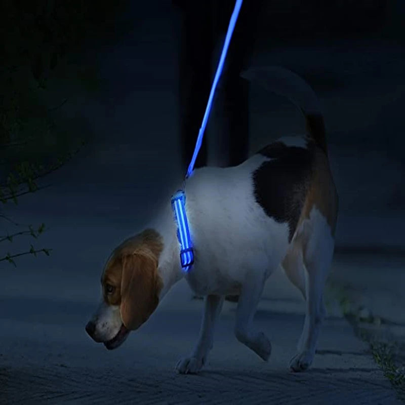 LED-Halsband für Hunde & Katzen – Maximale Sichtbarkeit bei Nacht! USB-aufladbar (bis 10h), 3 Leuchtmodi, verstellbar und wetterfest. Aus robustem Nylon, ideal für Spaziergänge und zur Sicherheit deines Haustiers. Jetzt bestellen!