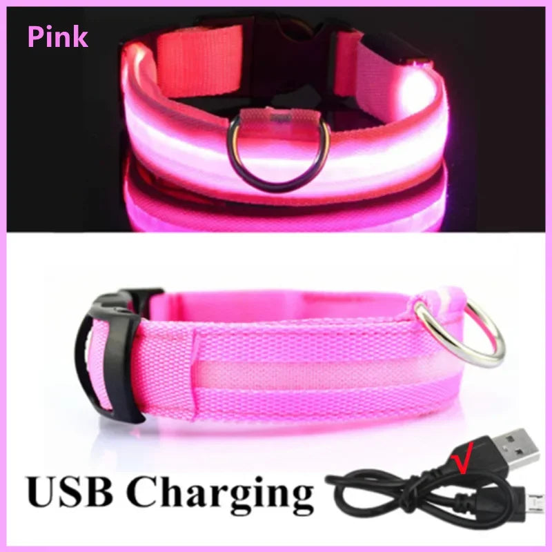 LED-Halsband für Hunde & Katzen – Maximale Sichtbarkeit bei Nacht! USB-aufladbar (bis 10h), 3 Leuchtmodi, verstellbar und wetterfest. Aus robustem Nylon, ideal für Spaziergänge und zur Sicherheit deines Haustiers. Jetzt bestellen!