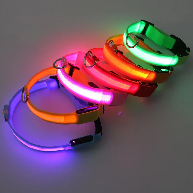 LED-Halsband für Hunde & Katzen – Maximale Sichtbarkeit bei Nacht! USB-aufladbar (bis 10h), 3 Leuchtmodi, verstellbar und wetterfest. Aus robustem Nylon, ideal für Spaziergänge und zur Sicherheit deines Haustiers. Jetzt bestellen!