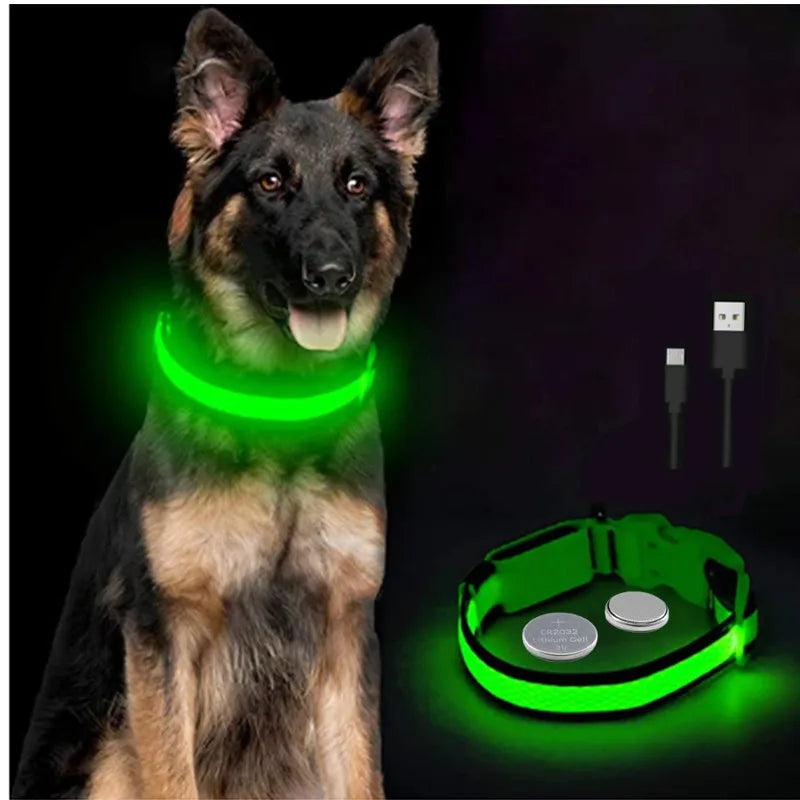 LED-Halsband für Hunde & Katzen – Maximale Sichtbarkeit bei Nacht! USB-aufladbar (bis 10h), 3 Leuchtmodi, verstellbar und wetterfest. Aus robustem Nylon, ideal für Spaziergänge und zur Sicherheit deines Haustiers. Jetzt bestellen!