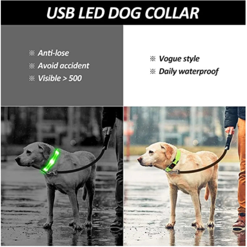 LED-Halsband für Hunde & Katzen – Maximale Sichtbarkeit bei Nacht! USB-aufladbar (bis 10h), 3 Leuchtmodi, verstellbar und wetterfest. Aus robustem Nylon, ideal für Spaziergänge und zur Sicherheit deines Haustiers. Jetzt bestellen!