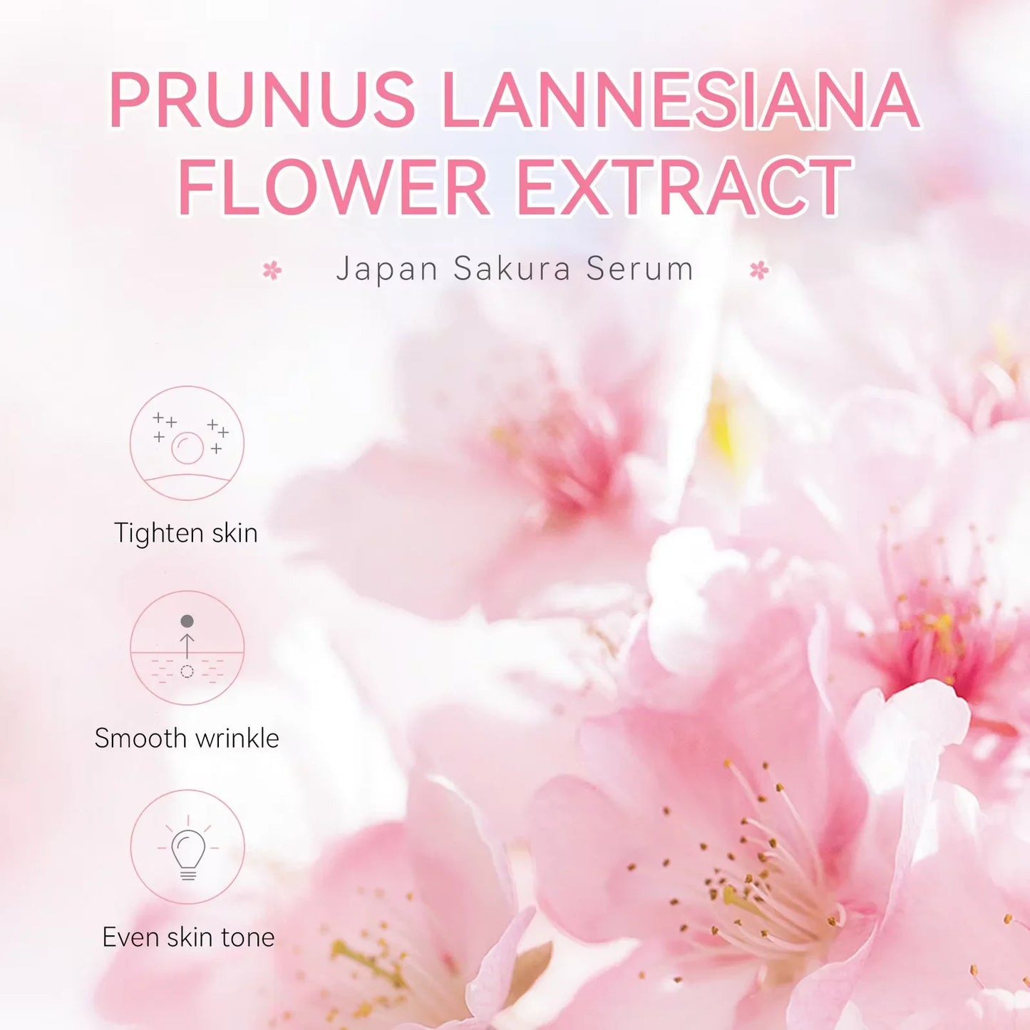 Sakura Brightening Serum – Leichte Pflege für einen frischen Glow