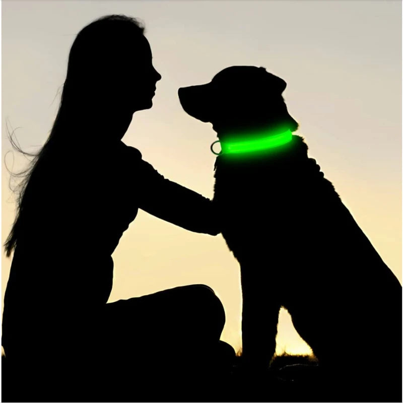 LED-Halsband für Hunde & Katzen – Maximale Sichtbarkeit bei Nacht! USB-aufladbar (bis 10h), 3 Leuchtmodi, verstellbar und wetterfest. Aus robustem Nylon, ideal für Spaziergänge und zur Sicherheit deines Haustiers. Jetzt bestellen!