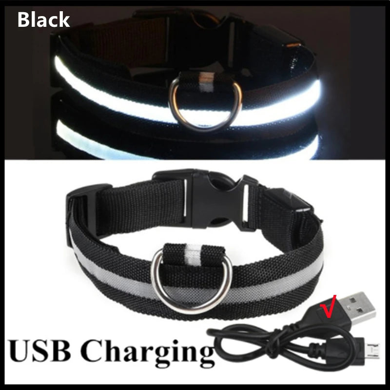 LED-Halsband für Hunde & Katzen – Maximale Sichtbarkeit bei Nacht! USB-aufladbar (bis 10h), 3 Leuchtmodi, verstellbar und wetterfest. Aus robustem Nylon, ideal für Spaziergänge und zur Sicherheit deines Haustiers. Jetzt bestellen!