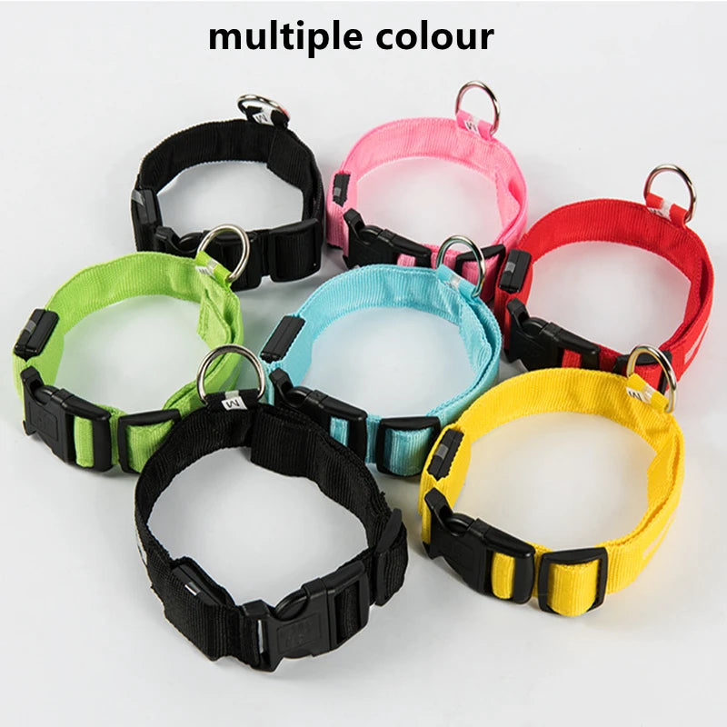 LED-Halsband für Hunde & Katzen – Maximale Sichtbarkeit bei Nacht! USB-aufladbar (bis 10h), 3 Leuchtmodi, verstellbar und wetterfest. Aus robustem Nylon, ideal für Spaziergänge und zur Sicherheit deines Haustiers. Jetzt bestellen!