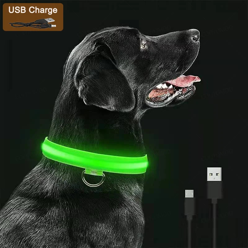 LED-Halsband für Hunde & Katzen – Maximale Sichtbarkeit bei Nacht! USB-aufladbar (bis 10h), 3 Leuchtmodi, verstellbar und wetterfest. Aus robustem Nylon, ideal für Spaziergänge und zur Sicherheit deines Haustiers. Jetzt bestellen!