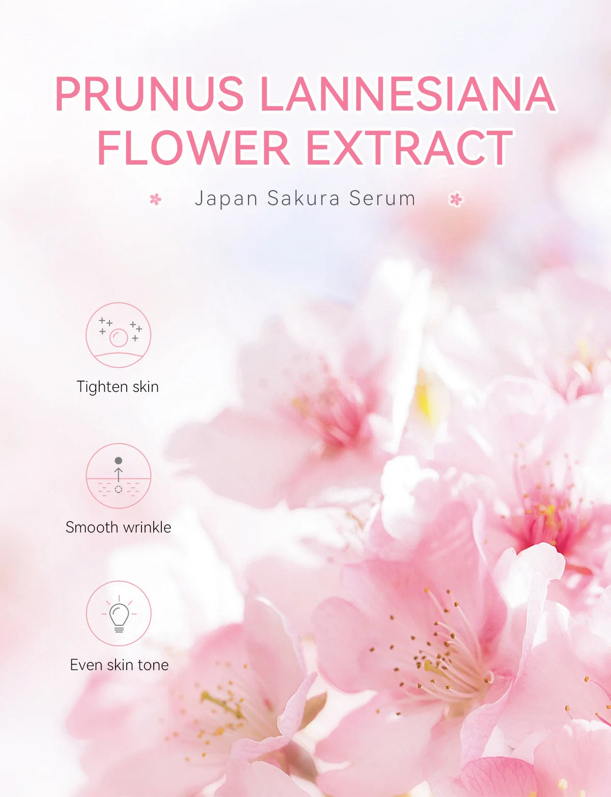 Sakura Brightening Serum – Leichte Pflege für einen frischen Glow